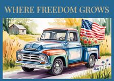 Where Freedom Grows